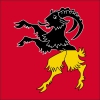 Fahne Gemeinde 6350 Stans (NW) | 30 x 30 cm und Grösser