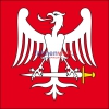 Fahne Gemeinde 6592 S. Antonino (TI) | 30 x 30 cm und Grösser