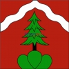 Fahne Gemeinde 6676 Bignasco Ehemalige Gemeinde (TI) | 30 x 30 cm und Grösser