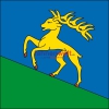 Fahne Gemeinde 6683 Cerentino (TI) | 30 x 30 cm und Grösser