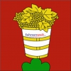 Fahne Gemeinde 6865 Tremona Ehemalige Gemeinde (TI) | 30 x 30 cm und Grösser