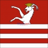 Fahne Gemeinde 6950 Tesserete Ehemalige Gemeinde (TI) | 30 x 30 cm und Grösser
