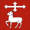 Fahne Gemeinde 6955 Cagiallo Ehemalige Gemeinde (TI) | 30 x 30 cm und Grösser