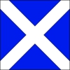 Fahne Gemeinde 7180 Disentis/Mustér (GR) | 30 x 30 cm und Grösser