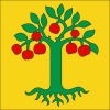 Fahne Gemeinde 7404, 7407 etc. Domleschg (GR) | 30 x 30 cm und Grösser