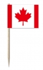 Mini-Fahnen Kanada Pack à 50 Stück | 30 x 40 mm