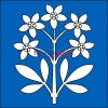 Fahne Gemeinde 8165 Schleinikon (ZH) | 30 x 30 cm und Grösser