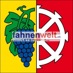 Fahne Gemeinde 8222 Beringen (SH) | 30 x 30 cm und Grösser