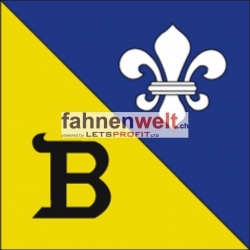 Fahne Gemeinde 8241 Barzheim Ehemalige Gemeinde (SH) | 30 x 30 cm und Grösser
