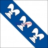 Fahne Gemeinde 8308 Illnau-Effretikon Wappen Illnau (ZH) | 30 x 30 cm und Grösser