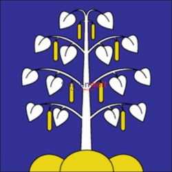 Fahne Gemeinde 8309 Birchwil Ehemalige Gemeinde (ZH) | 30 x 30 cm und Grösser
