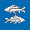 Fahne Gemeinde 8376 Fischingen (TG) | 30 x 30 cm und Grösser