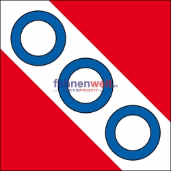 Fahne Gemeinde 8488 Turbenthal (ZH) | 30 x 30 cm und Grösser