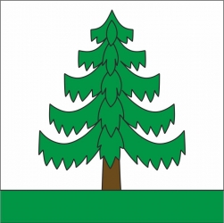 Fahne Gemeinde 8494 Bauma (ZH) | 30 x 30 cm und Grösser