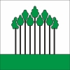 Fahne Gemeinde 8525 Neunforn (TG) | 30 x 30 cm und Grösser