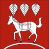 Fahne Gemeinde 8564 Engwilen Ehemalige Gemeinde (TG) | 30 x 30 cm und Grösser