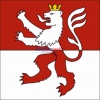 Fahne Gemeinde 8575 Leimbach Ehemalige Gemeinde (TG) | 30 x 30 cm und Grösser