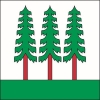 Fahne Gemeinde 8636 Wald (ZH) | 30 x 30 cm und Grösser