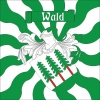 Fahne geflammt Gemeinde 8636 Wald (ZH) | 30 x 30 cm und Grösser
