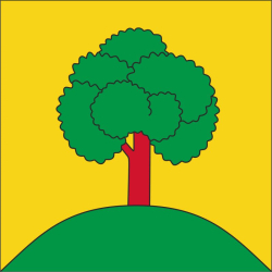 Fahne Gemeinde 8638 Goldingen Ehemalige Gemeinde (SG) | 30 x 30 cm und Grösser