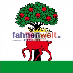 Fahne Gemeinde 9428 Walzenhausen (AR) | 30 x 30 cm und Grösser