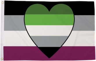 Asexual Aromantic mit Herz Fahne aus Stoff | 90 x 150 cm