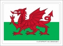 Aufkleber Wales | 7 x 9.5 cm