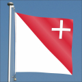 Fahne Ausserschwyz