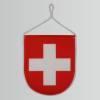 Autowimpel Schweiz | ca. 9 x 10 c,