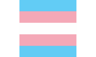 Bandana Transgender | ca. 54 x 54 cm