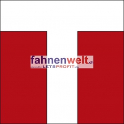 Fahne Bezirk Konolfingen (BE) | 30 x 30 cm und Grösser