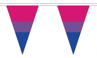 Stoff Wimpelkette Bi-Pride-Farben gestreift | 54 Wimpel 20 x 30 cm 20 m lang gestreift