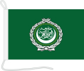 Arabische Liga Bootsfahne | 30 x 45 cm