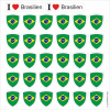 Aufkleber Brasilien in Wappenform 30 Stück auf Bogen | ca. 12.5 x 12.5 cm