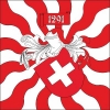⁑ Fahne geflammt Schweiz | 120 x 120 cm in verschiedenen Ausführungen