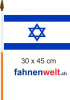 Israel Fahne / Flagge am Stab | 30 x 45 cm