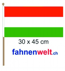 Ungarn Fahne / Flagge am Stab | 30 x 45 cm