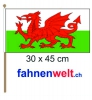 Wales Fahne / Flagge am Stab | 30 x 45 cm