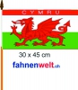Wales Cymru Fahne / Flagge am Stab | 30 x 45 cm