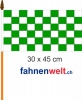 Fan-Fahne grün/weiss Fahne / Flagge am Stab  | 30 x 45 cm