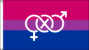 Bi Pride Symbol Fahne aus Stoff | 90 x 150 cm
