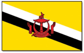 Brunei Darussalam Fahne gedruckt | 60 x 90 cm
