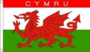 Wales Drachen (Cymru) und Schriftzug Fahne gedruckt | 90 x 150 cm