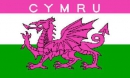 Cymru Pink Fahne gedruckt | 90 x 150 cm