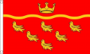 East Sussex Grafschaft Fahne aus Stoff | 90 x 150 cm