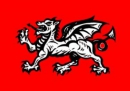 England weisser Drachen (Wessex) Fahne gedruckt | 90 x 150 cm