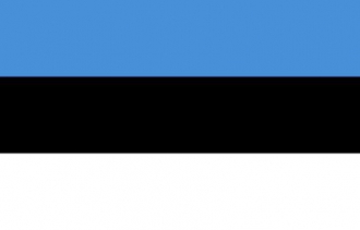 Estland Fahne gedruckt | 60 x 90 cm