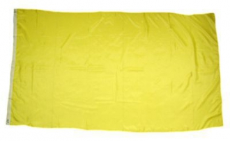 Gelbe Fahne gedruckt | 150 x 240 cm