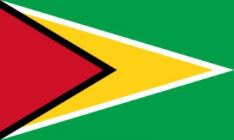Guyana Fahne gedruckt | 60 x 90 cm
