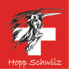 ⁎ Schweizer Fan-Fahne mit Stiermotiv | 120 x 120 cm